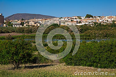 Lagoon. Stock Photo